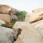 corse12
