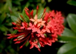 macro3