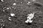 Fatigue2