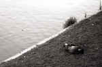 Fatigue3