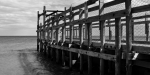 ponton_2