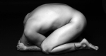 DSC_7241