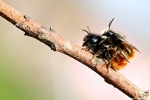 aaaa