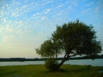 lac des landes