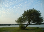 paysages lac