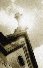 PL8