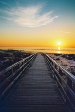 praiawebagora