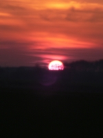 P1000822_480x640