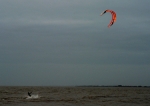 P1030412_500_net