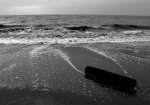 P1030435_700-net_NB