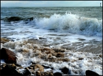 P1030453_web