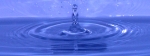 bleu_500