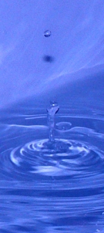 bleu_500v