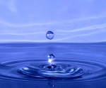 brille_bleu_500