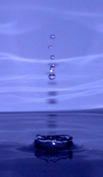 couronne_bleu_500