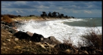 ile.de.re.copie