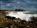 ile.de.re_web