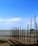 portconac