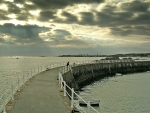 diguejersey