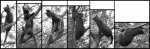 Descente prilleuse 2