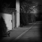 Sans titre-1bis2 copie2