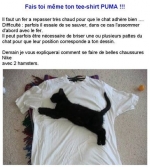 Chatpuma