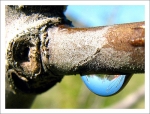 Goutte2c