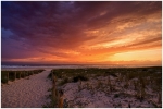 SunCapFerret3