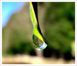 goutte3c