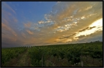 Vignesetciel