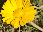 DSC00786