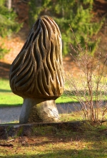 morilles